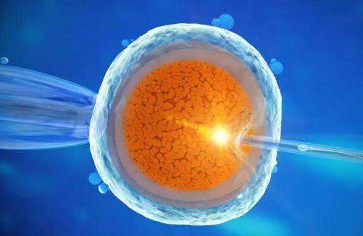 济南供卵生殖医院,广州试管婴儿冷冻胚胎，解冻会伤害到胚胎吗?-供卵如何排队
