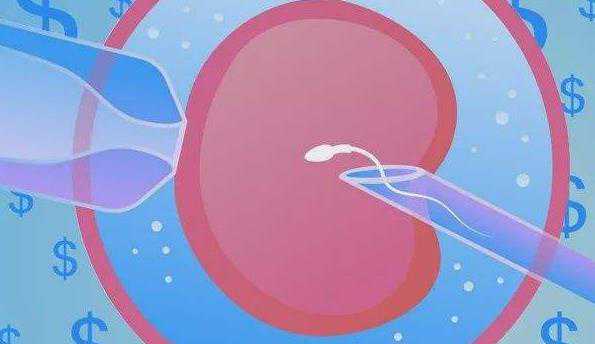 一代二代试管可以筛选男女吗_供精试管能放几个胚胎_6号染色体缺失24mb的胚胎
